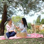 Seguro-Vida-Plan-3-