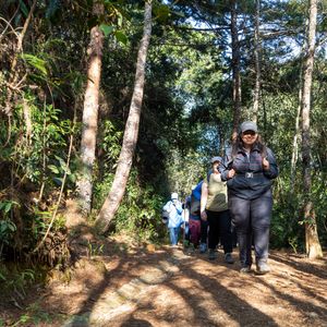 Caminadas Ecológicas