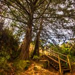 Caminada 30 pasajeros