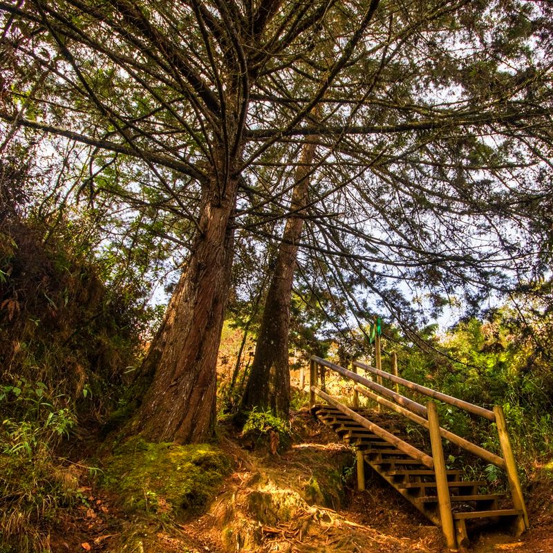 Caminada 30 pasajeros