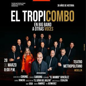 Boleta platea delante Tropicombo 30 años
