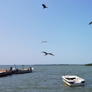 Coveñas