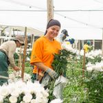 Diagnóstico de Capital Humano Básico