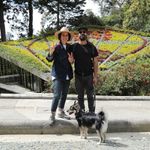 Tiquetera Empresarial Sencilla