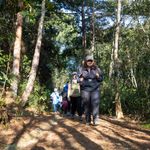 Experiencia: Viaje interior bosque y del ser Arvi