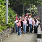 Celebración: A celebrar a lo grande 30 personas